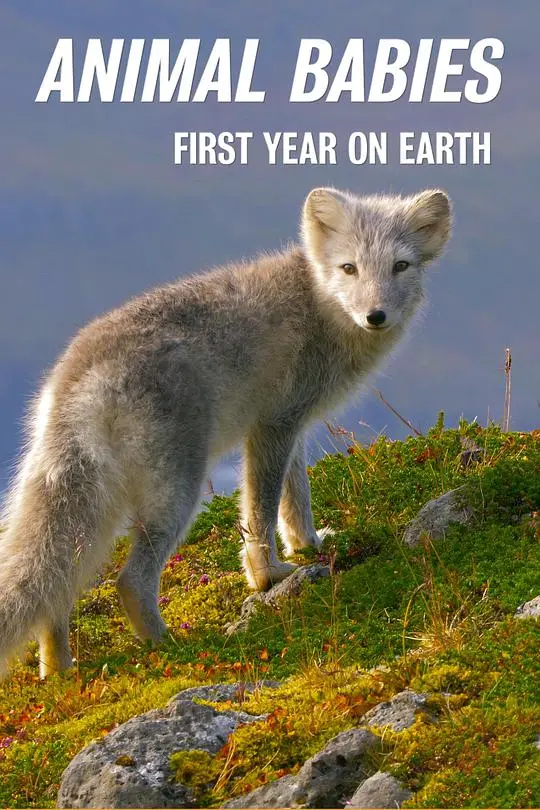 《萌宝出生第一年》：记录生命最初的奇迹，新手爸妈的育儿百科与温情指南