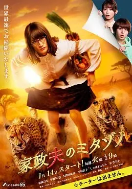 《家政夫三田园7》：毒舌吐槽！这槽点满满的家政剧，还能不能让人好好笑了？